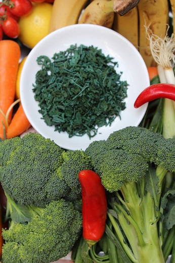 plant-based diet